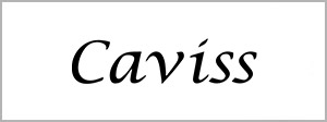 caviss-marcas